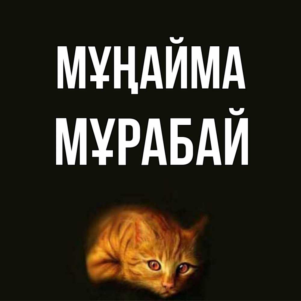 Күн сайын ашық хат с именем, МҰРАБАЙ Мұңайма лежащий кот в темноте Онлайн тегін жүктеп алу тілектері бар керемет карта 