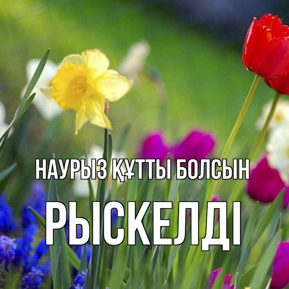 Күн сайын ашық хат с именем, РЫСКЕЛДІ Наурыз құтты болсын наурыз  3 открытки Онлайн тегін жүктеп алу тілектері бар керемет карта 