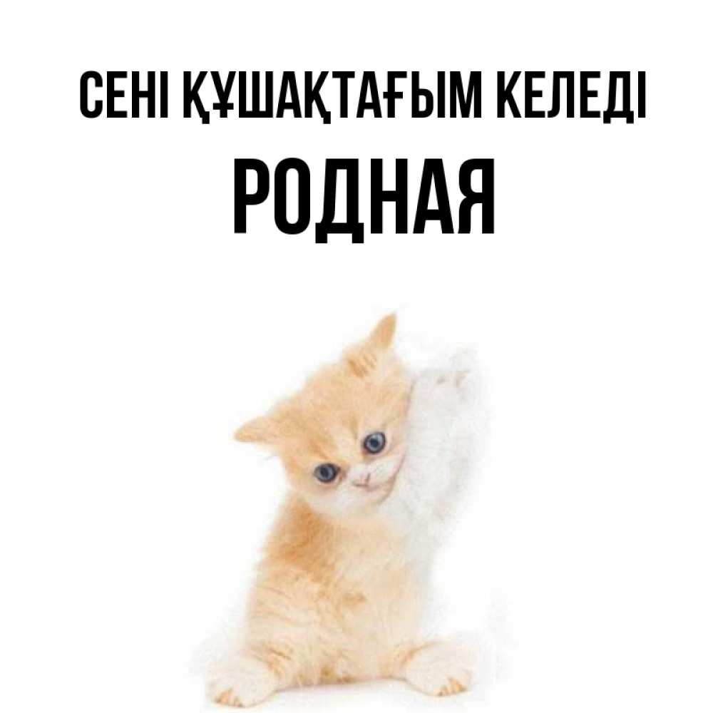 Күн сайын ашық хат с именем, Родная сені құшақтағым келеді я хочу очень скорее обнимаешек Онлайн тегін жүктеп алу тілектері бар керемет карта 