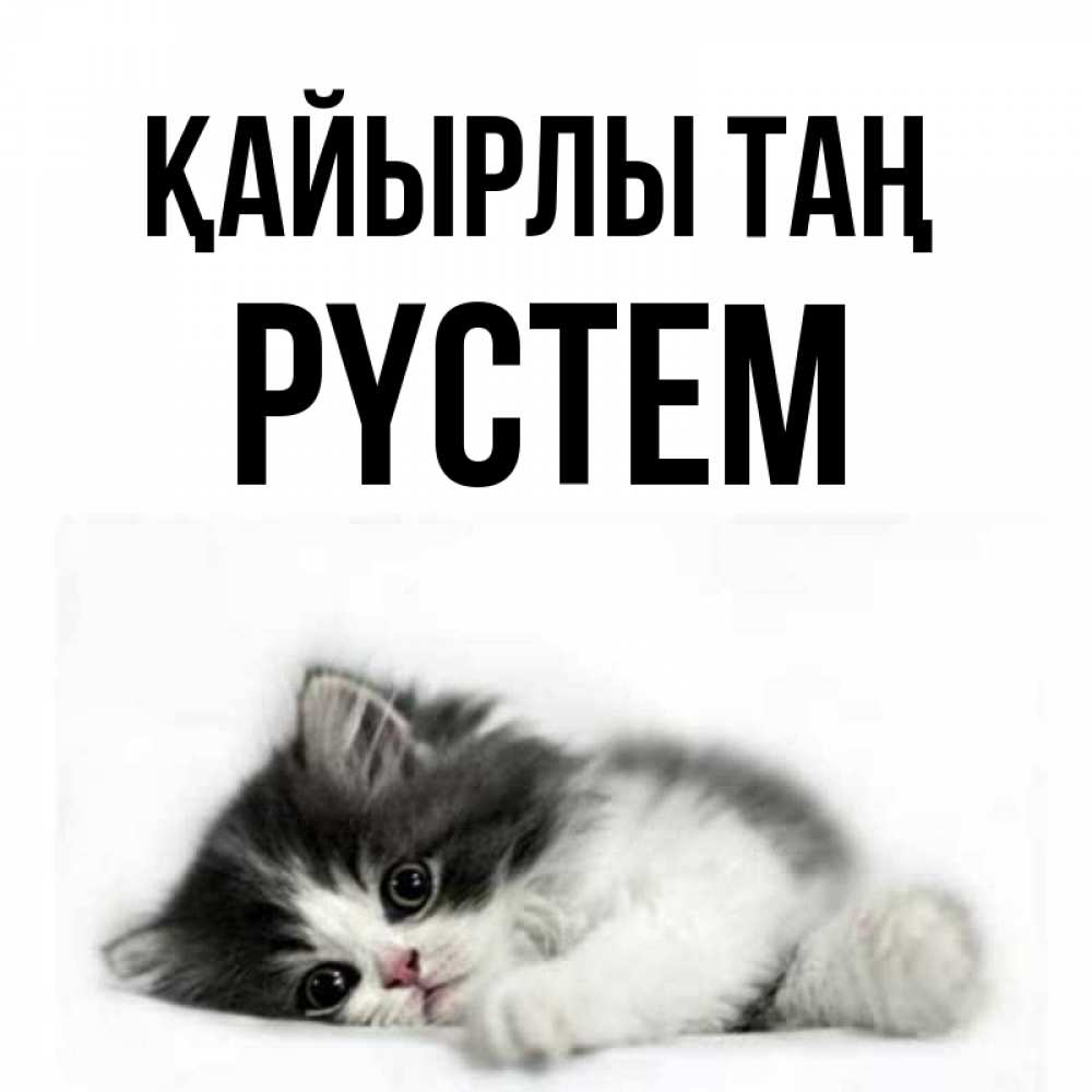 Күн сайын ашық хат с именем, РҮСТЕМ Қайырлы таң кот лапки Онлайн тегін жүктеп алу тілектері бар керемет карта 