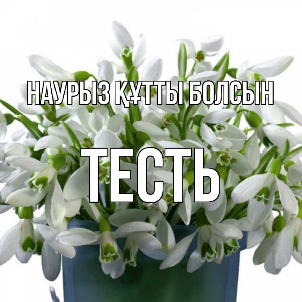 Күн сайын ашық хат с именем, Тесть Наурыз құтты болсын цветы к наурызу Онлайн тегін жүктеп алу тілектері бар керемет карта 