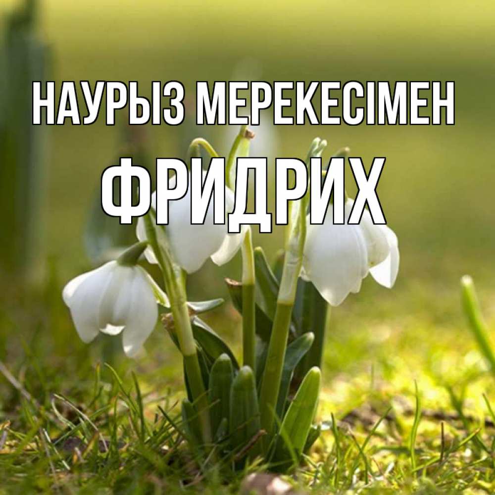 Күн сайын ашық хат с именем, Фридрих Наурыз мерекесімен ранние цветы 2 Онлайн тегін жүктеп алу тілектері бар керемет карта 