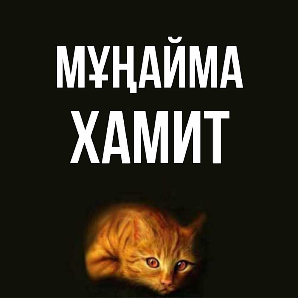 Күн сайын ашық хат с именем, ХАМИТ Мұңайма лежащий кот в темноте Онлайн тегін жүктеп алу тілектері бар керемет карта 