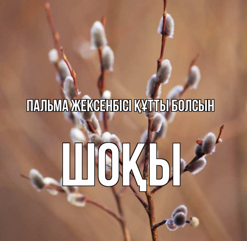 Күн сайын ашық хат с именем, ШОҚЫ Пальма жексенбісі құтты болсын верба Онлайн тегін жүктеп алу тілектері бар керемет карта 