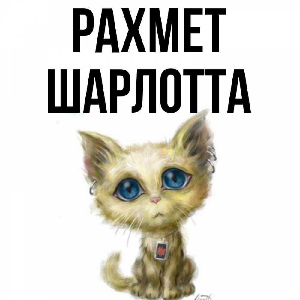 Күн сайын ашық хат с именем, Шарлотта рахмет рисованный кот благодарит вас Онлайн тегін жүктеп алу тілектері бар керемет карта 