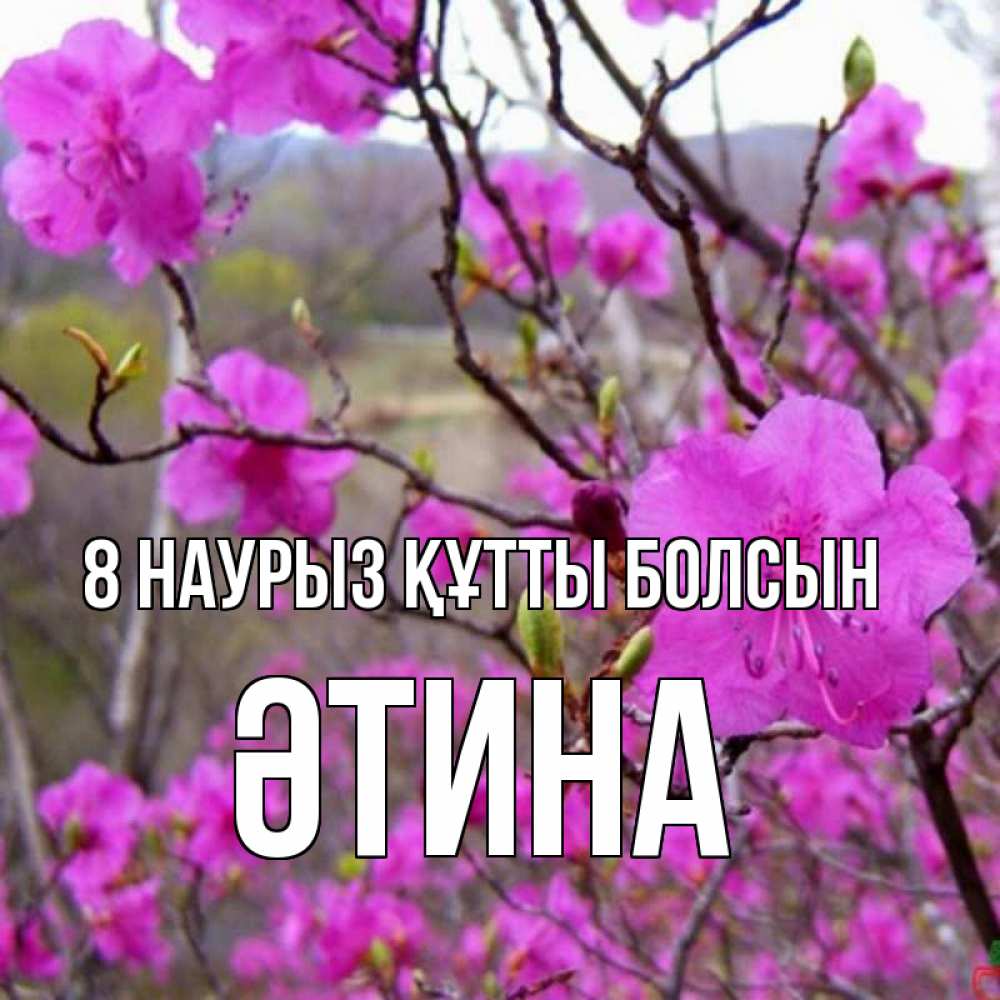 Күн сайын ашық хат с именем, ӘТИНА 8 наурыз құтты болсын международный женский день Онлайн тегін жүктеп алу тілектері бар керемет карта 