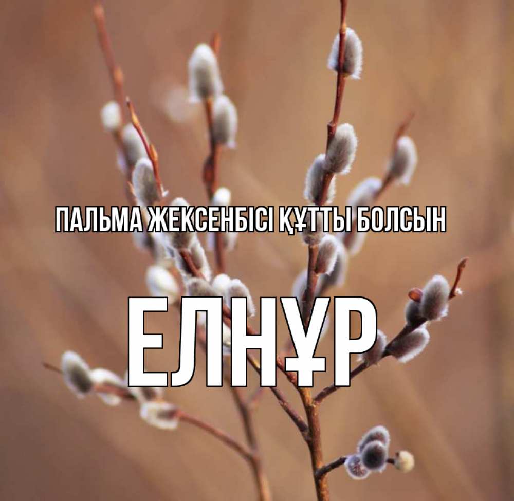 Картинка Пальма жексенбісі құтты болсын, Елнұр
