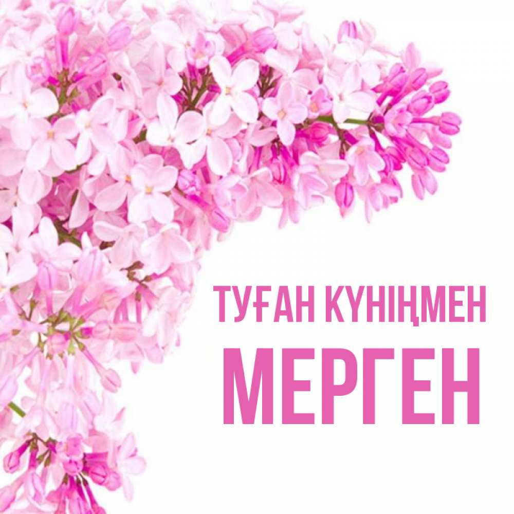 Күн сайын ашық хат с именем, МЕРГЕН Туған күніңмен Сирень на белом фоне Онлайн тегін жүктеп алу тілектері бар керемет карта 