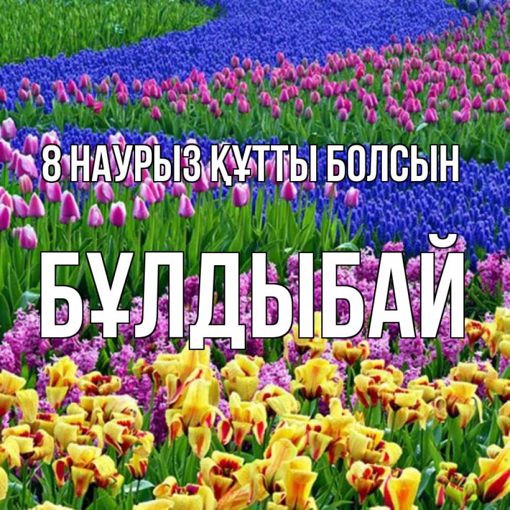 Күн сайын ашық хат с именем, Бұлдыбай 8 наурыз құтты болсын цветы Онлайн тегін жүктеп алу тілектері бар керемет карта 