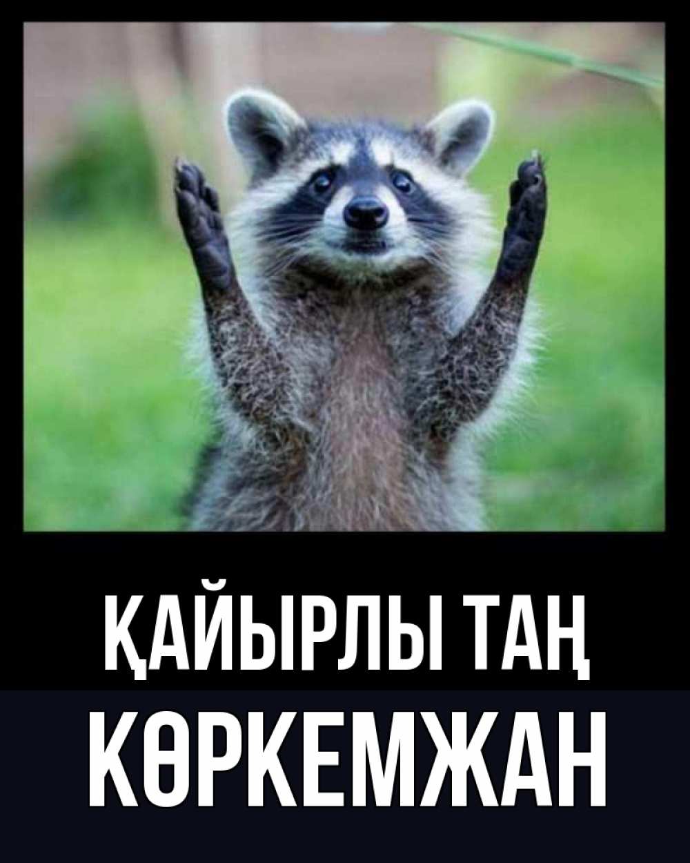 Күн сайын ашық хат с именем, Көркемжан Қайырлы таң хорошее настроение утречком Онлайн тегін жүктеп алу тілектері бар керемет карта 