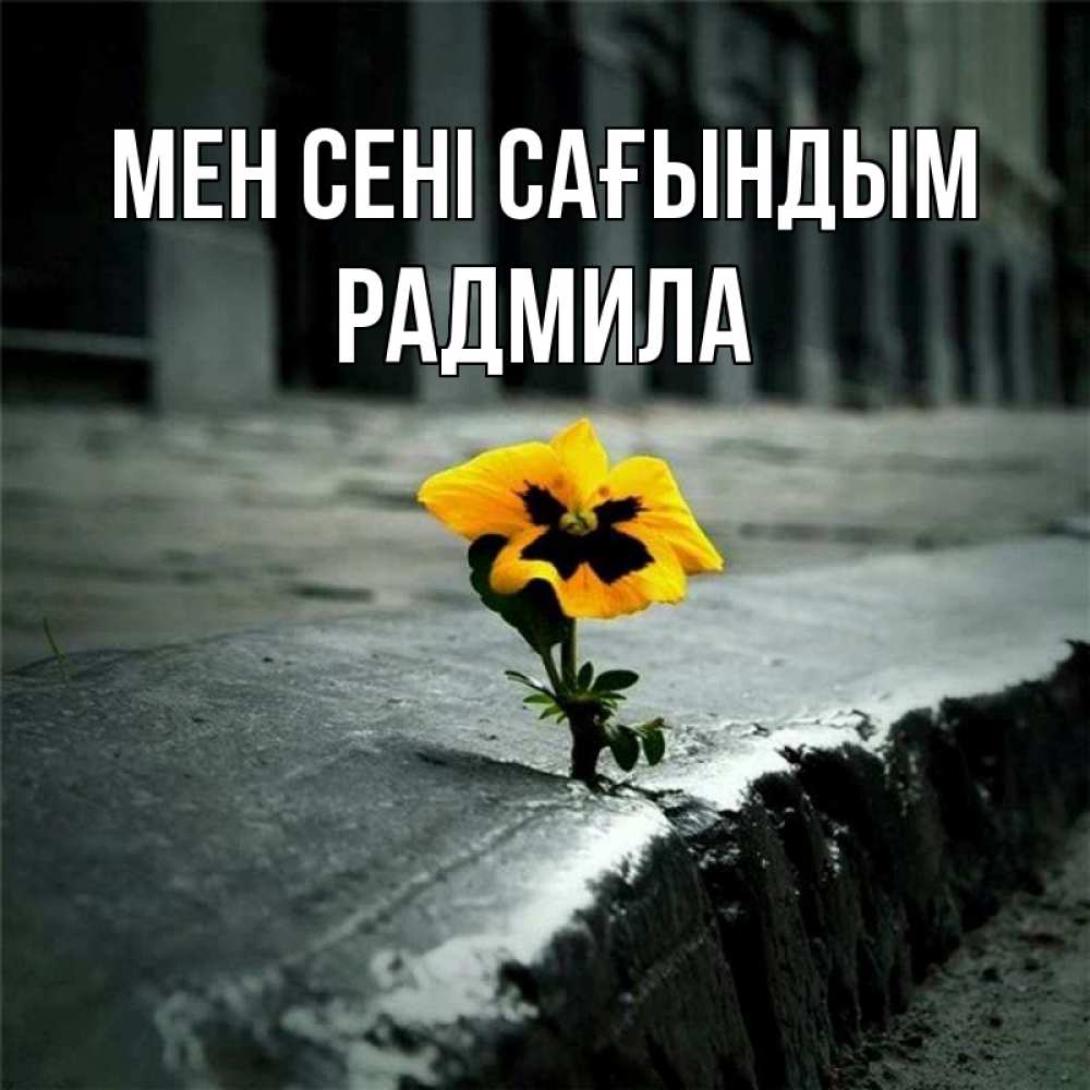 Күн сайын ашық хат с именем, Радмила Мен сені сағындым надеюсь будет лучше Онлайн тегін жүктеп алу тілектері бар керемет карта 