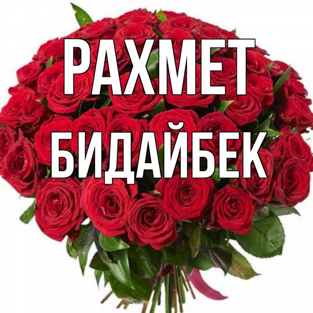 Күн сайын ашық хат с именем, Бидайбек рахмет букет красных роз Онлайн тегін жүктеп алу тілектері бар керемет карта 