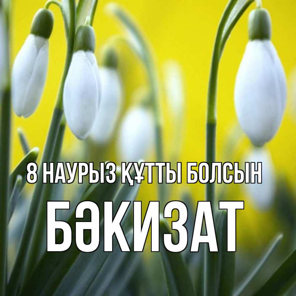 Күн сайын ашық хат с именем, БӘКИЗАТ 8 наурыз құтты болсын весенние цветы Онлайн тегін жүктеп алу тілектері бар керемет карта 