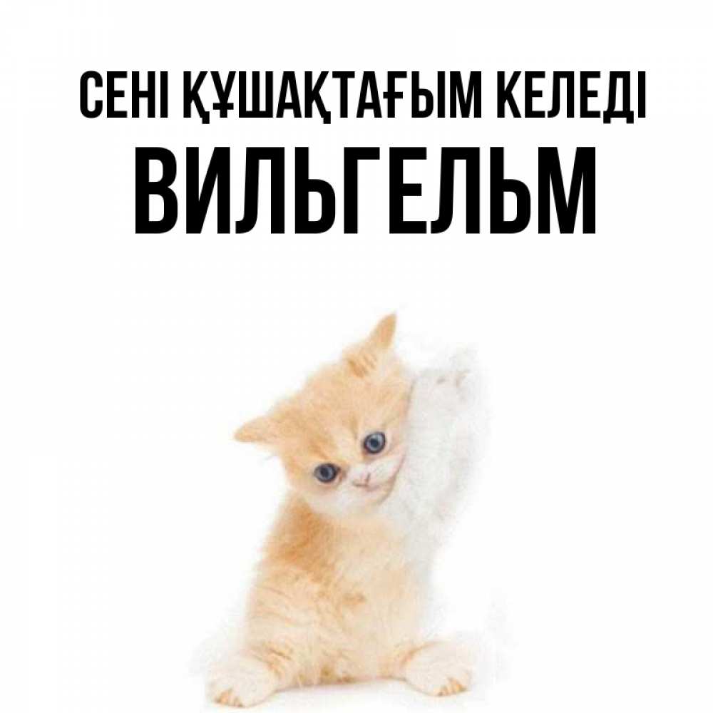 Күн сайын ашық хат с именем, Вильгельм сені құшақтағым келеді я хочу очень скорее обнимаешек Онлайн тегін жүктеп алу тілектері бар керемет карта 