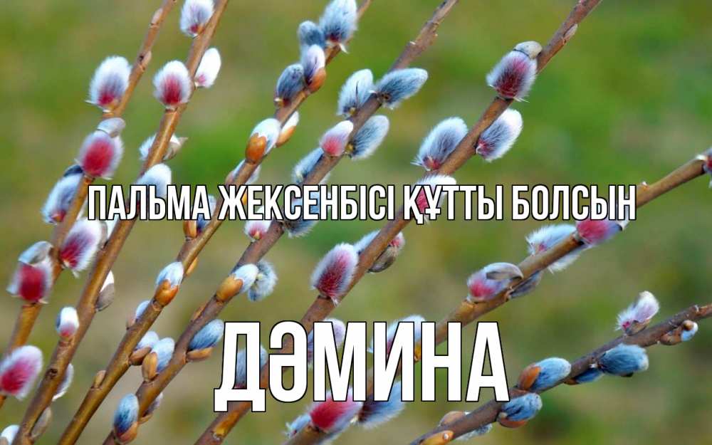 Күн сайын ашық хат с именем, ДӘМИНА Пальма жексенбісі құтты болсын верба Онлайн тегін жүктеп алу тілектері бар керемет карта 