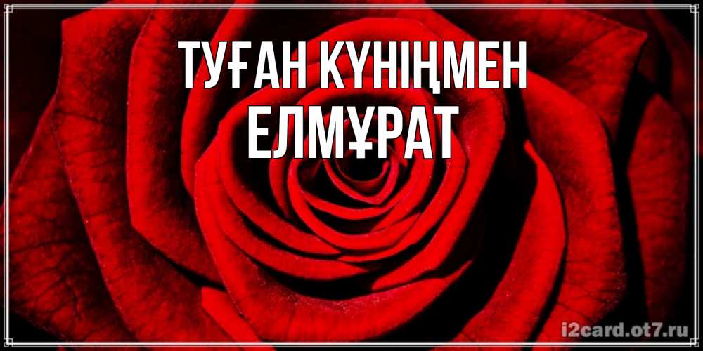 Күн сайын ашық хат с именем, Елмұрат Туған күніңмен алая роза Онлайн тегін жүктеп алу тілектері бар керемет карта 