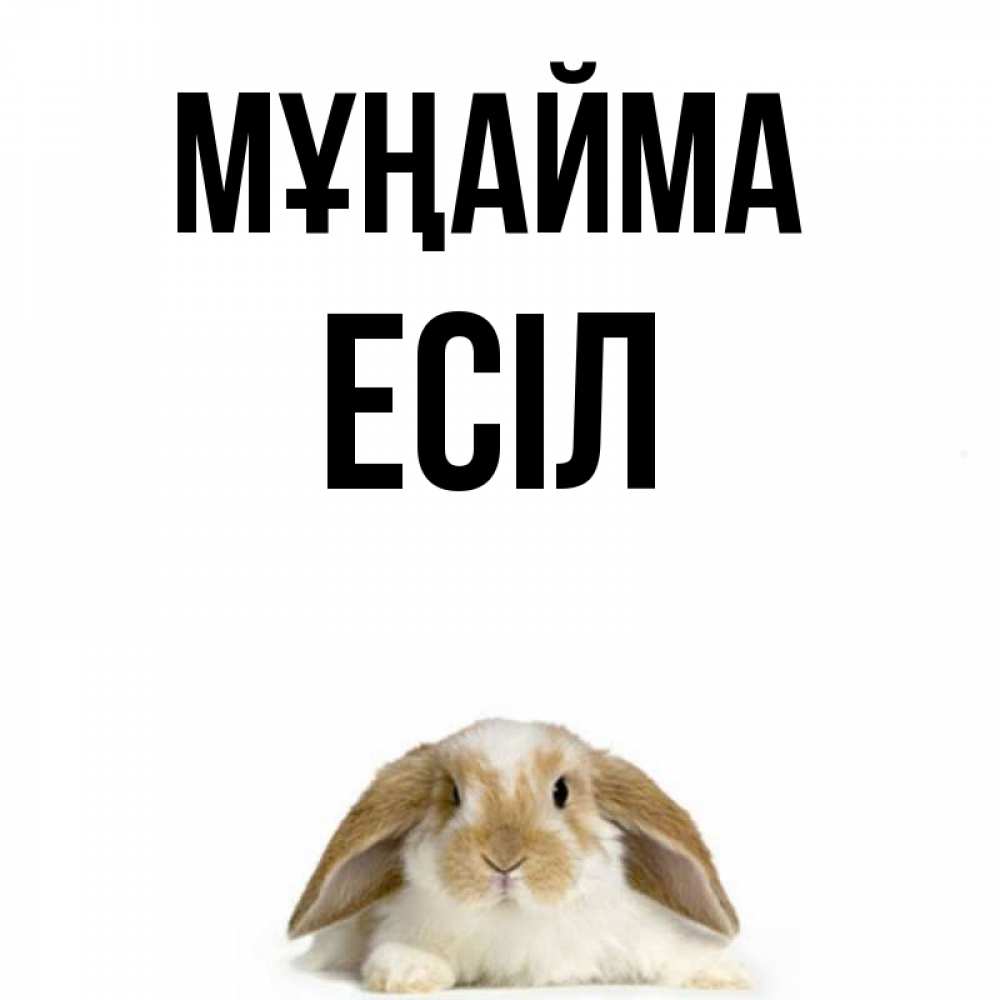 Күн сайын ашық хат с именем, Есіл Мұңайма коричнево белый заяц с большими ушками Онлайн тегін жүктеп алу тілектері бар керемет карта 