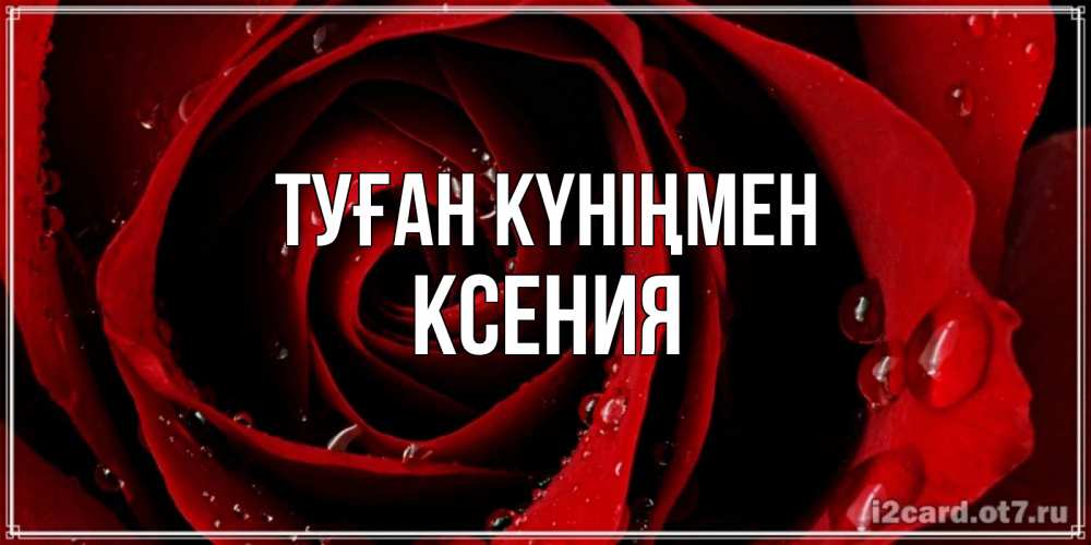 Күн сайын ашық хат с именем, Ксения Туған күніңмен крупная бордовая роза Онлайн тегін жүктеп алу тілектері бар керемет карта 