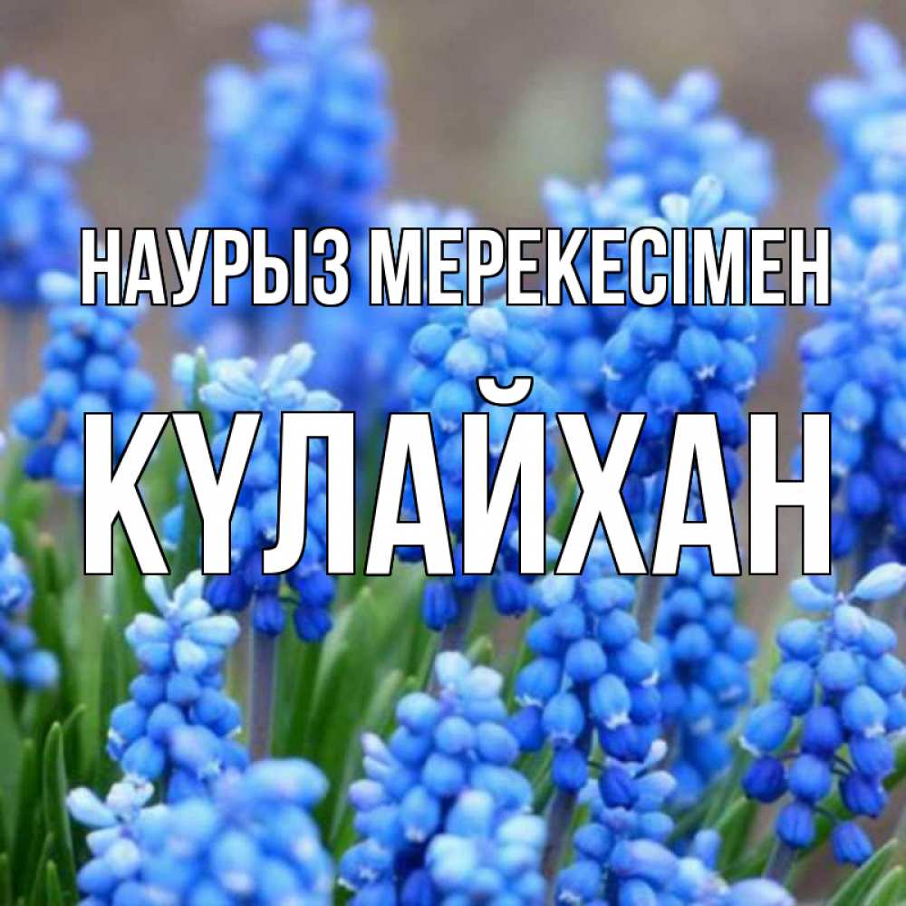 Күн сайын ашық хат с именем, КҮЛАЙХАН Наурыз мерекесімен Поздравительная открытка для женщин с цветами на праздничную дату Онлайн тегін жүктеп алу тілектері бар керемет карта 