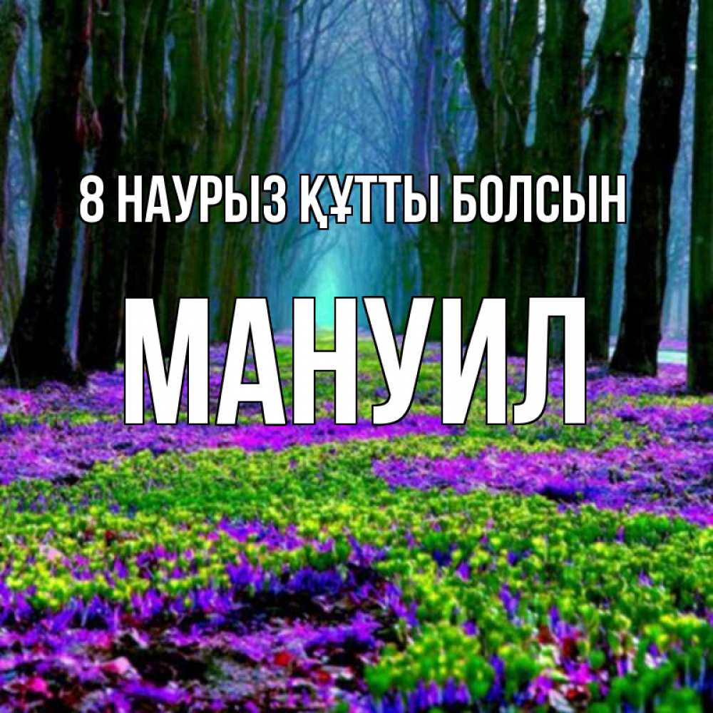 Күн сайын ашық хат с именем, Мануил 8 наурыз құтты болсын фиолетовые цветы в лесу 1 Онлайн тегін жүктеп алу тілектері бар керемет карта 