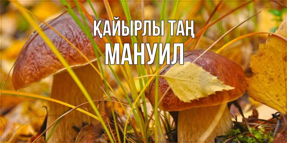 Күн сайын ашық хат с именем, Мануил Қайырлы таң осенние грибы Онлайн тегін жүктеп алу тілектері бар керемет карта 