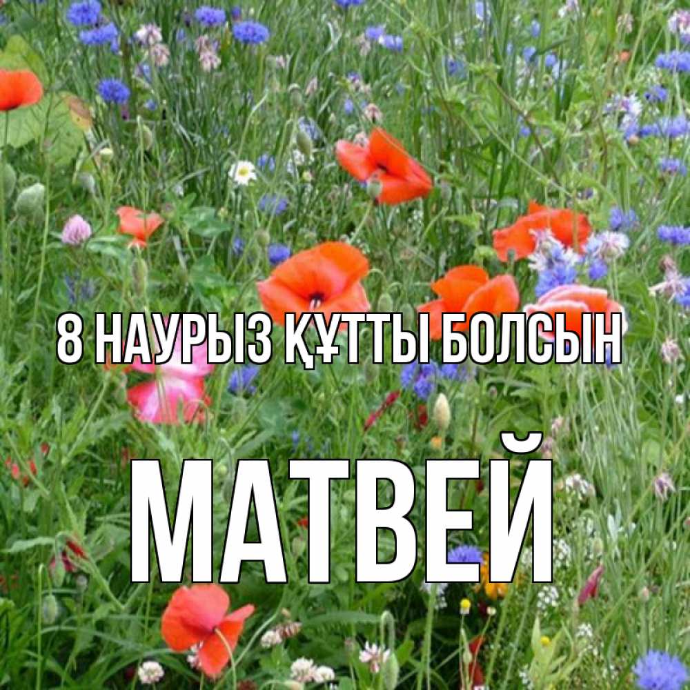 Күн сайын ашық хат с именем, Матвей 8 наурыз құтты болсын международный женский день 4 Онлайн тегін жүктеп алу тілектері бар керемет карта 