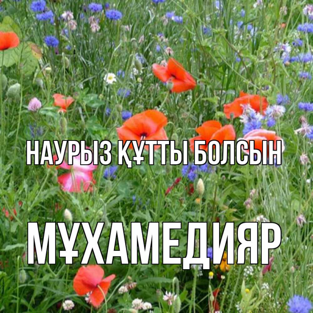 Күн сайын ашық хат с именем, МҰХАМЕДИЯР Наурыз құтты болсын наурыз  4 Онлайн тегін жүктеп алу тілектері бар керемет карта 