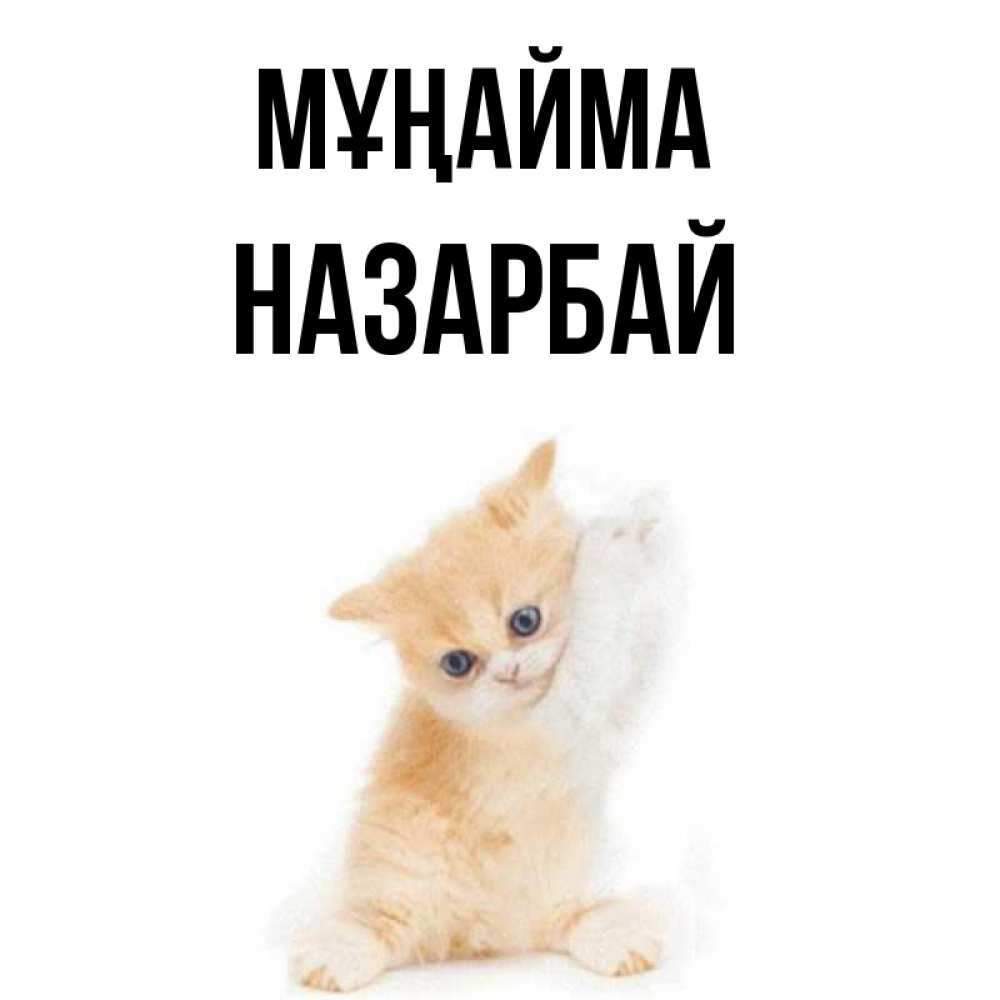 Күн сайын ашық хат с именем, НАЗАРБАЙ Мұңайма просящий кот Онлайн тегін жүктеп алу тілектері бар керемет карта 