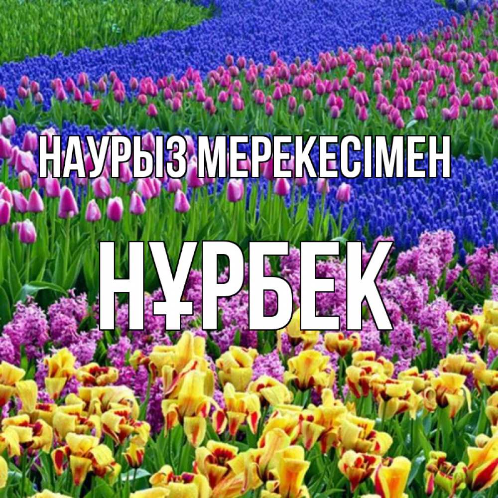 Күн сайын ашық хат с именем, НҰРБЕК Наурыз мерекесімен цветы Онлайн тегін жүктеп алу тілектері бар керемет карта 