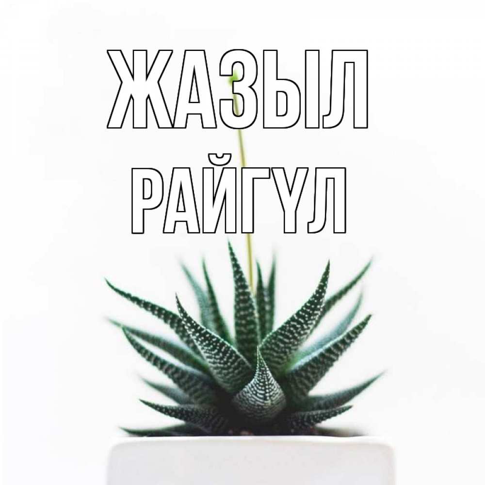 Күн сайын ашық хат с именем, РАЙГҮЛ Жазыл короче это непонятная колючка Онлайн тегін жүктеп алу тілектері бар керемет карта 