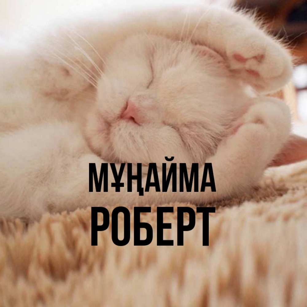 Күн сайын ашық хат с именем, Роберт Мұңайма Котенок спит Онлайн тегін жүктеп алу тілектері бар керемет карта 