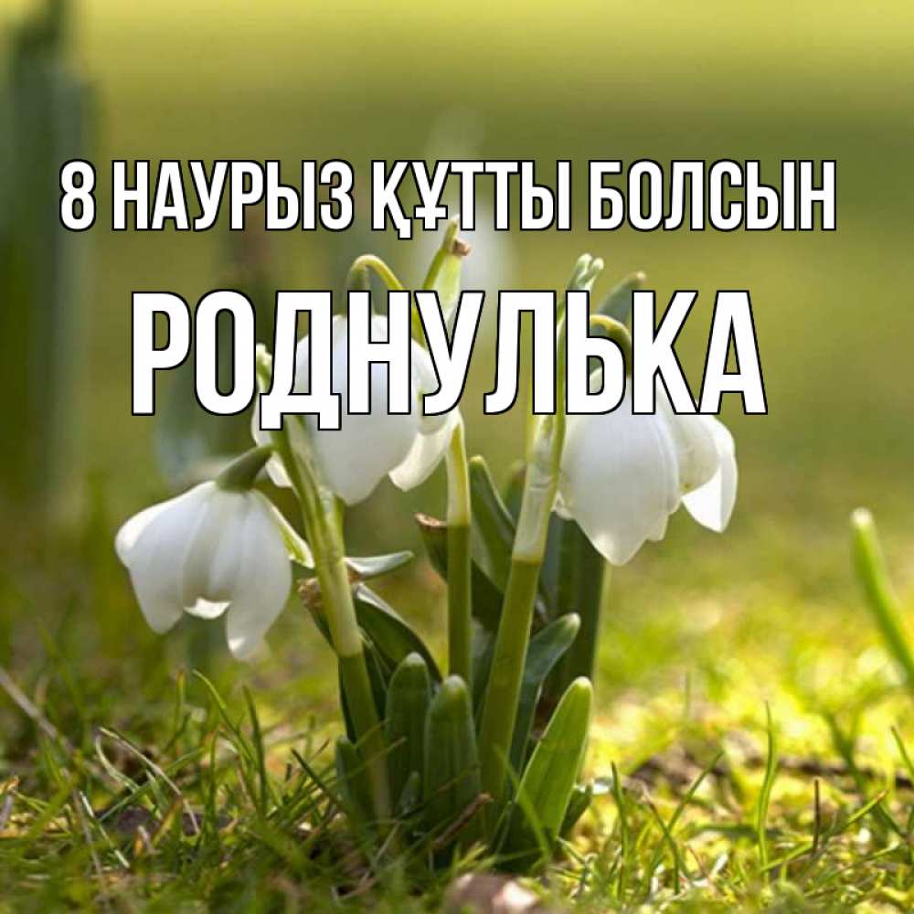 Күн сайын ашық хат с именем, Роднулька 8 наурыз құтты болсын ранние цветы 2 Онлайн тегін жүктеп алу тілектері бар керемет карта 