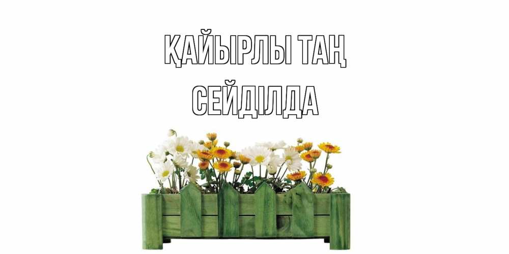 Күн сайын ашық хат с именем, СЕЙДІЛДА Қайырлы таң цветы Онлайн тегін жүктеп алу тілектері бар керемет карта 
