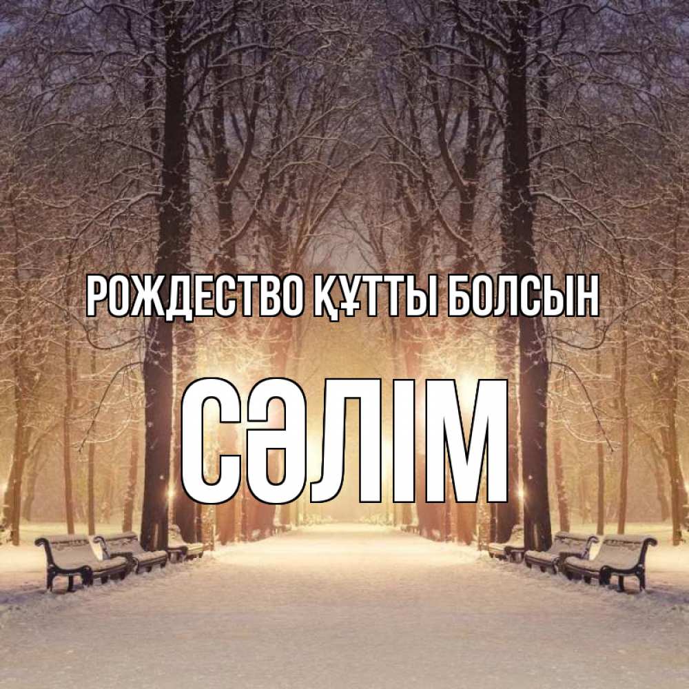 Күн сайын ашық хат с именем, СӘЛІМ Рождество құтты болсын зима, парк, фонарь, лес Онлайн тегін жүктеп алу тілектері бар керемет карта 