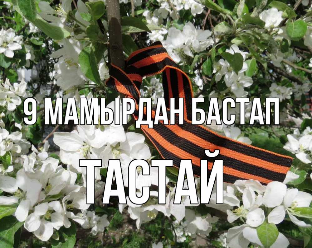 Күн сайын ашық хат с именем, ТАСТАЙ 9 мамырдан бастап 9 мая Онлайн тегін жүктеп алу тілектері бар керемет карта 