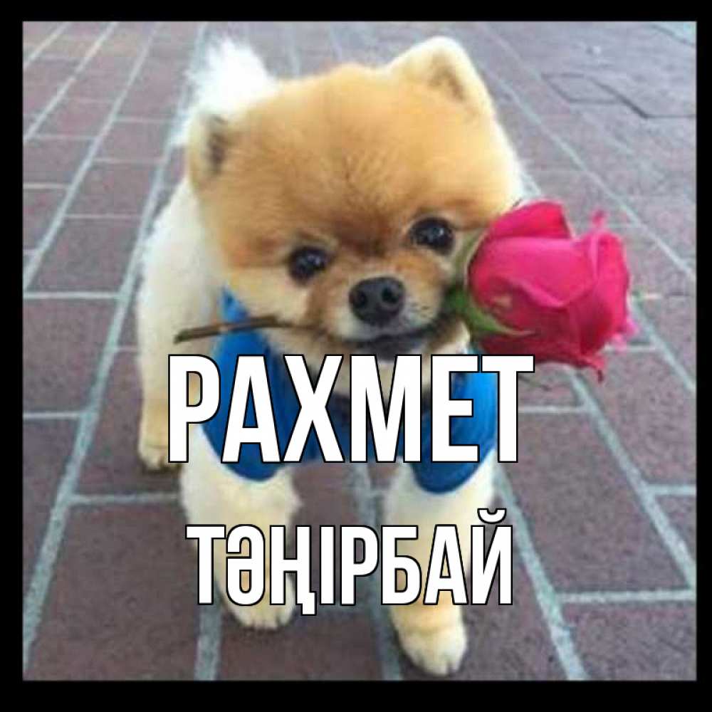 Күн сайын ашық хат с именем, ТӘҢІРБАЙ рахмет спасибо и дарю тебе цветок Онлайн тегін жүктеп алу тілектері бар керемет карта 