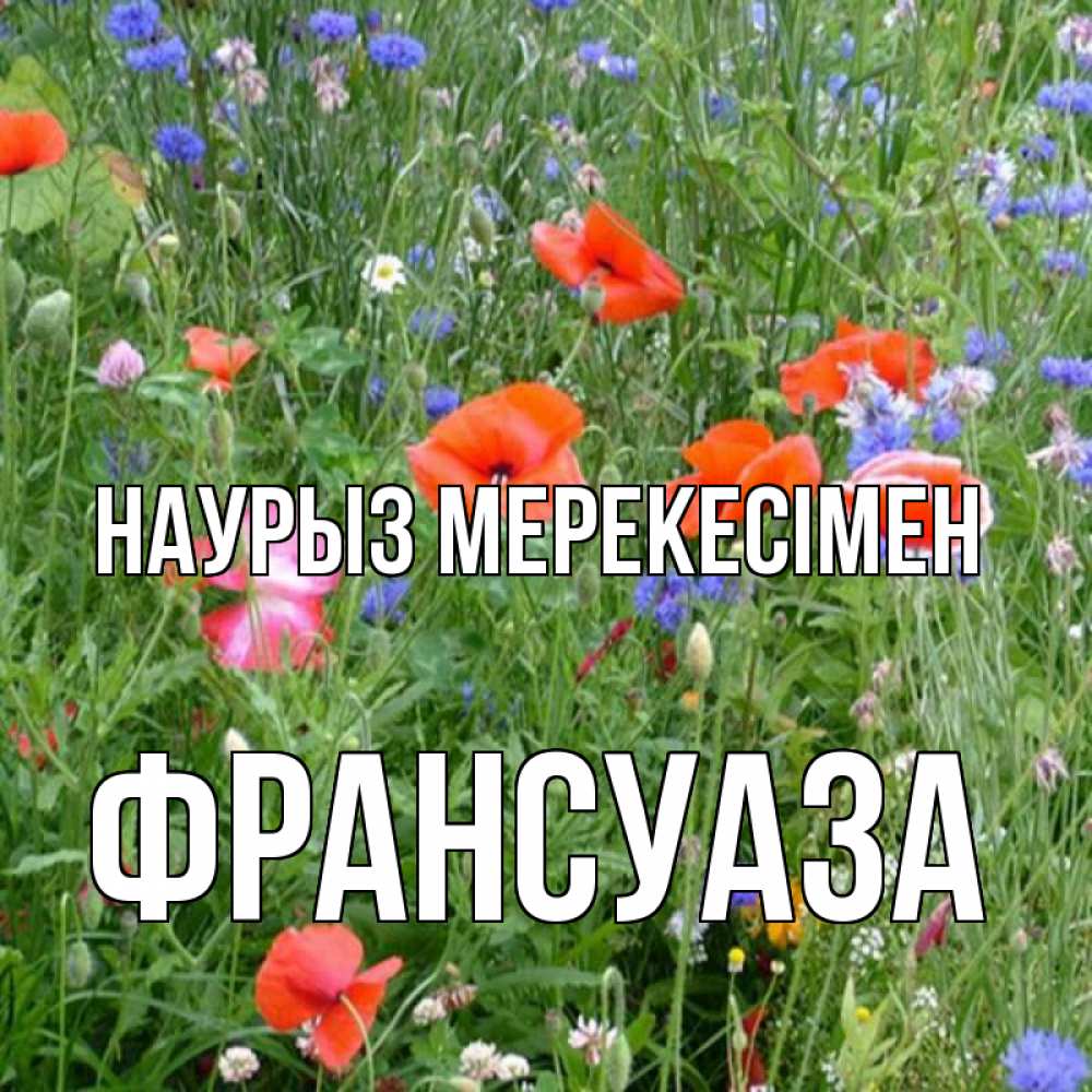 Күн сайын ашық хат с именем, Франсуаза Наурыз мерекесімен праздник весны наурыз супер открытка Онлайн тегін жүктеп алу тілектері бар керемет карта 