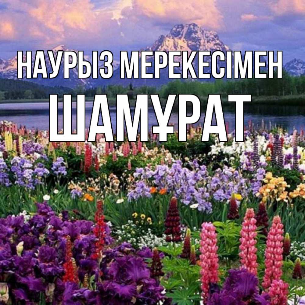 Күн сайын ашық хат с именем, ШАМҰРАТ Наурыз мерекесімен праздник весны наурыз Онлайн тегін жүктеп алу тілектері бар керемет карта 