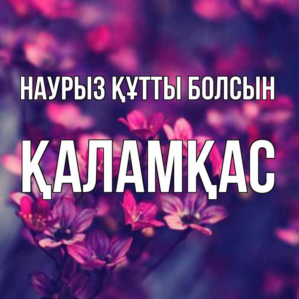 Күн сайын ашық хат с именем, ҚАЛАМҚАС Наурыз құтты болсын небольшие цветы 1 Онлайн тегін жүктеп алу тілектері бар керемет карта 