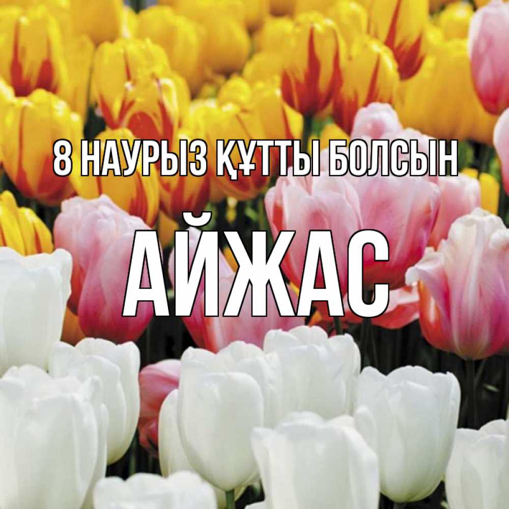 Күн сайын ашық хат с именем, Айжас 8 наурыз құтты болсын разноцветные цветы Онлайн тегін жүктеп алу тілектері бар керемет карта 