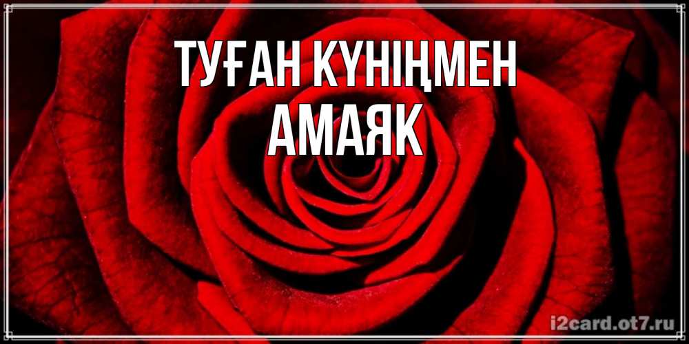 Күн сайын ашық хат с именем, Амаяк Туған күніңмен алая роза Онлайн тегін жүктеп алу тілектері бар керемет карта 