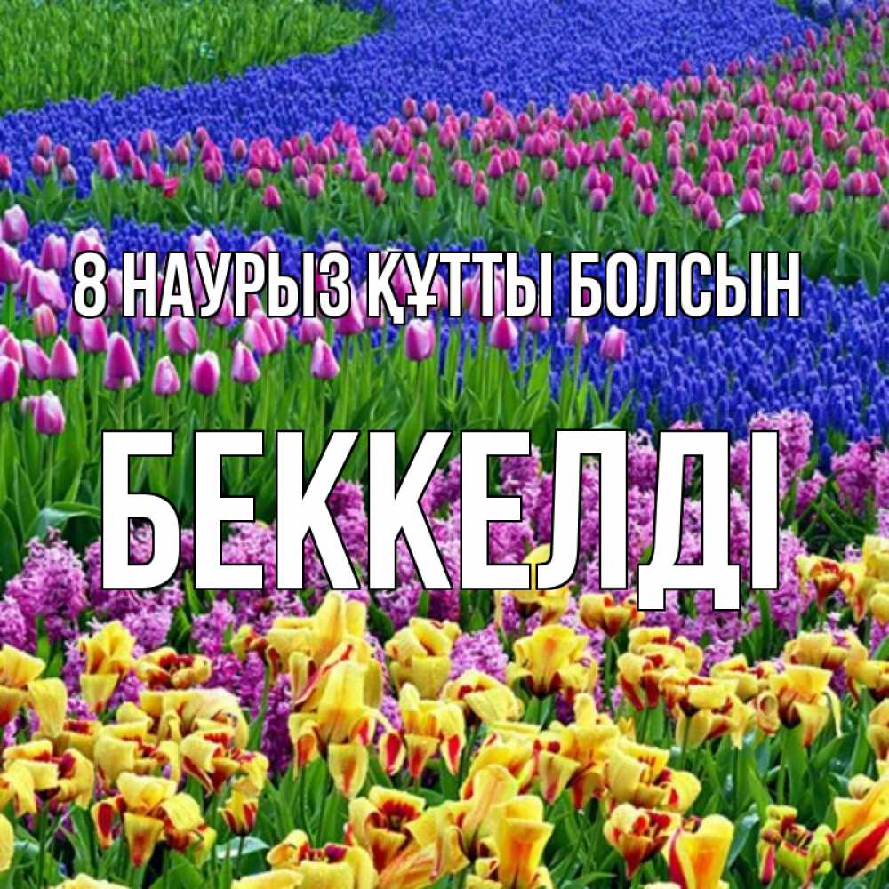Күн сайын ашық хат с именем, Беккелді 8 наурыз құтты болсын цветы Онлайн тегін жүктеп алу тілектері бар керемет карта 