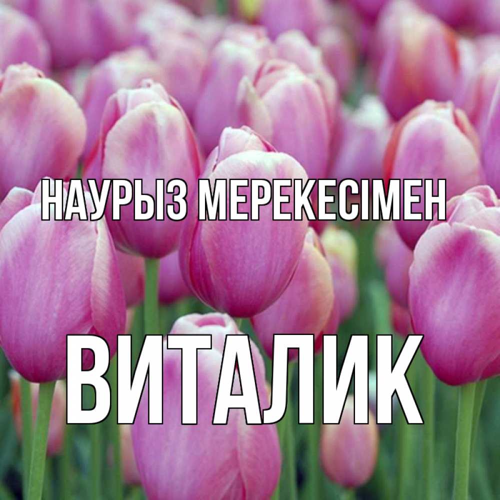 Күн сайын ашық хат с именем, Виталик Наурыз мерекесімен праздник весны наурыз 69 Онлайн тегін жүктеп алу тілектері бар керемет карта 
