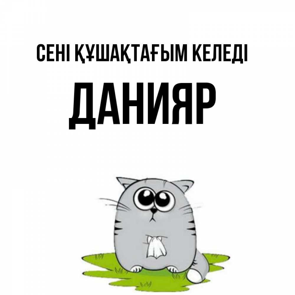 Күн сайын ашық хат с именем, Данияр сені құшақтағым келеді котик теребит платочек сидя на травке Онлайн тегін жүктеп алу тілектері бар керемет карта 