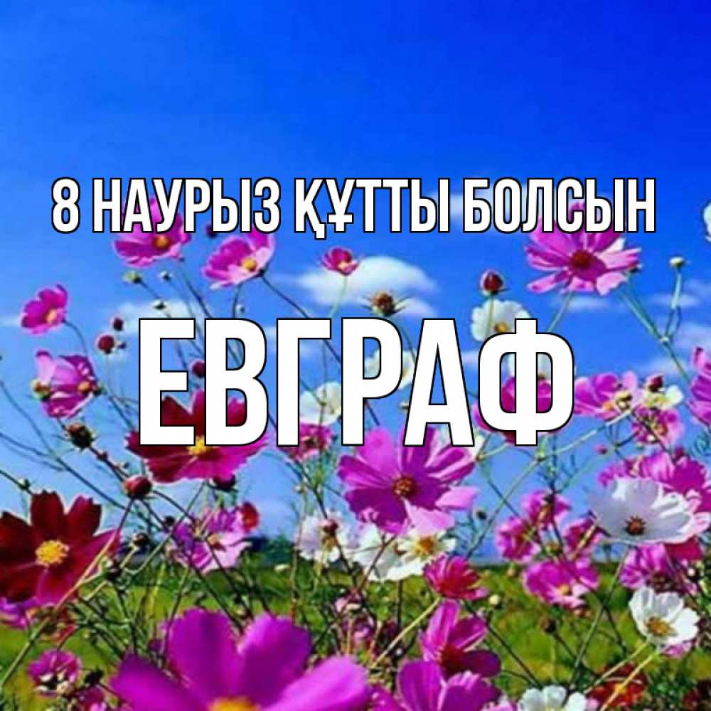 Күн сайын ашық хат с именем, Евграф 8 наурыз құтты болсын цветы Онлайн тегін жүктеп алу тілектері бар керемет карта 