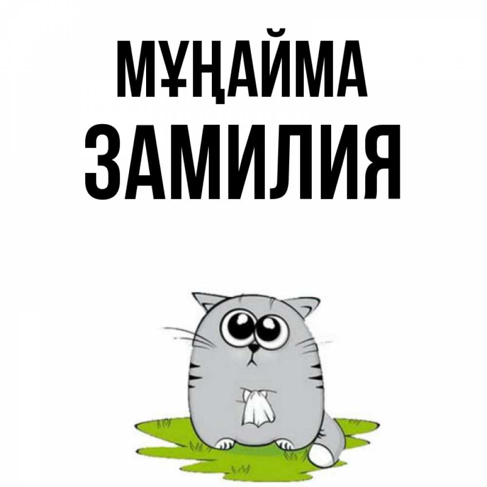 Күн сайын ашық хат с именем, ЗАМИЛИЯ Мұңайма грустный котяра Онлайн тегін жүктеп алу тілектері бар керемет карта 