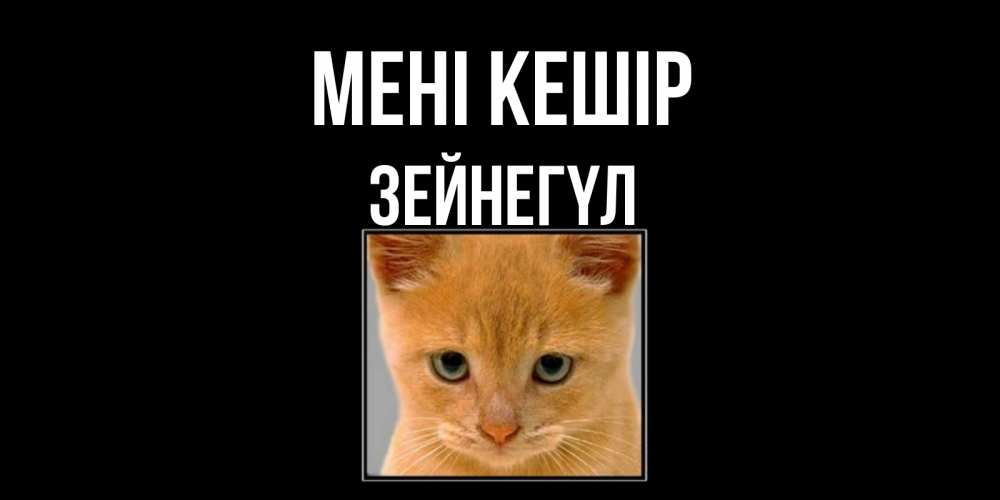 Күн сайын ашық хат с именем, ЗЕЙНЕГҮЛ Мені кешір рыжий грустный кот просит прощения Онлайн тегін жүктеп алу тілектері бар керемет карта 