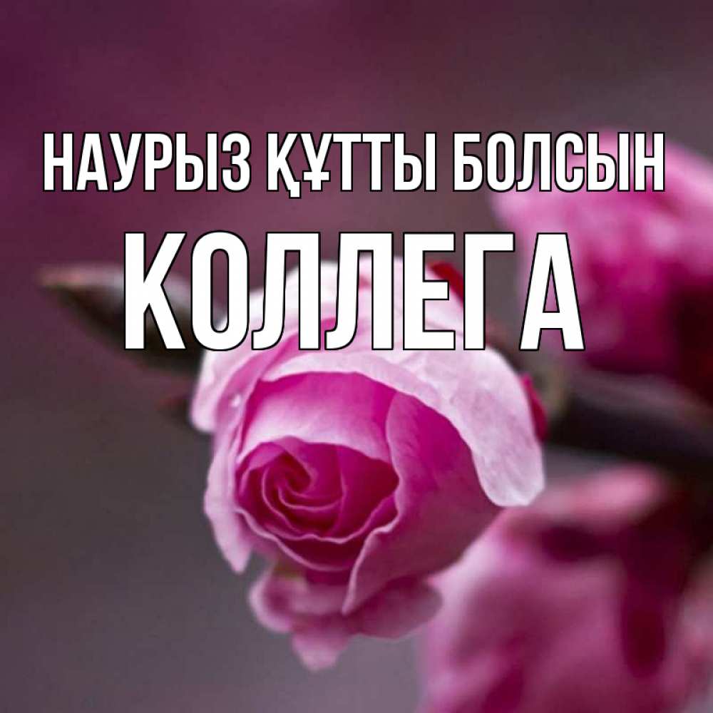 Күн сайын ашық хат с именем, Коллега Наурыз құтты болсын весна Онлайн тегін жүктеп алу тілектері бар керемет карта 