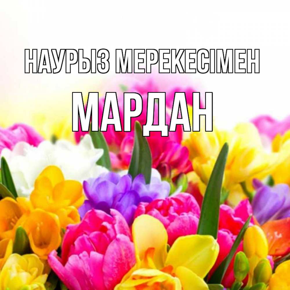 Күн сайын ашық хат с именем, МАРДАН Наурыз мерекесімен тюльпаны Онлайн тегін жүктеп алу тілектері бар керемет карта 