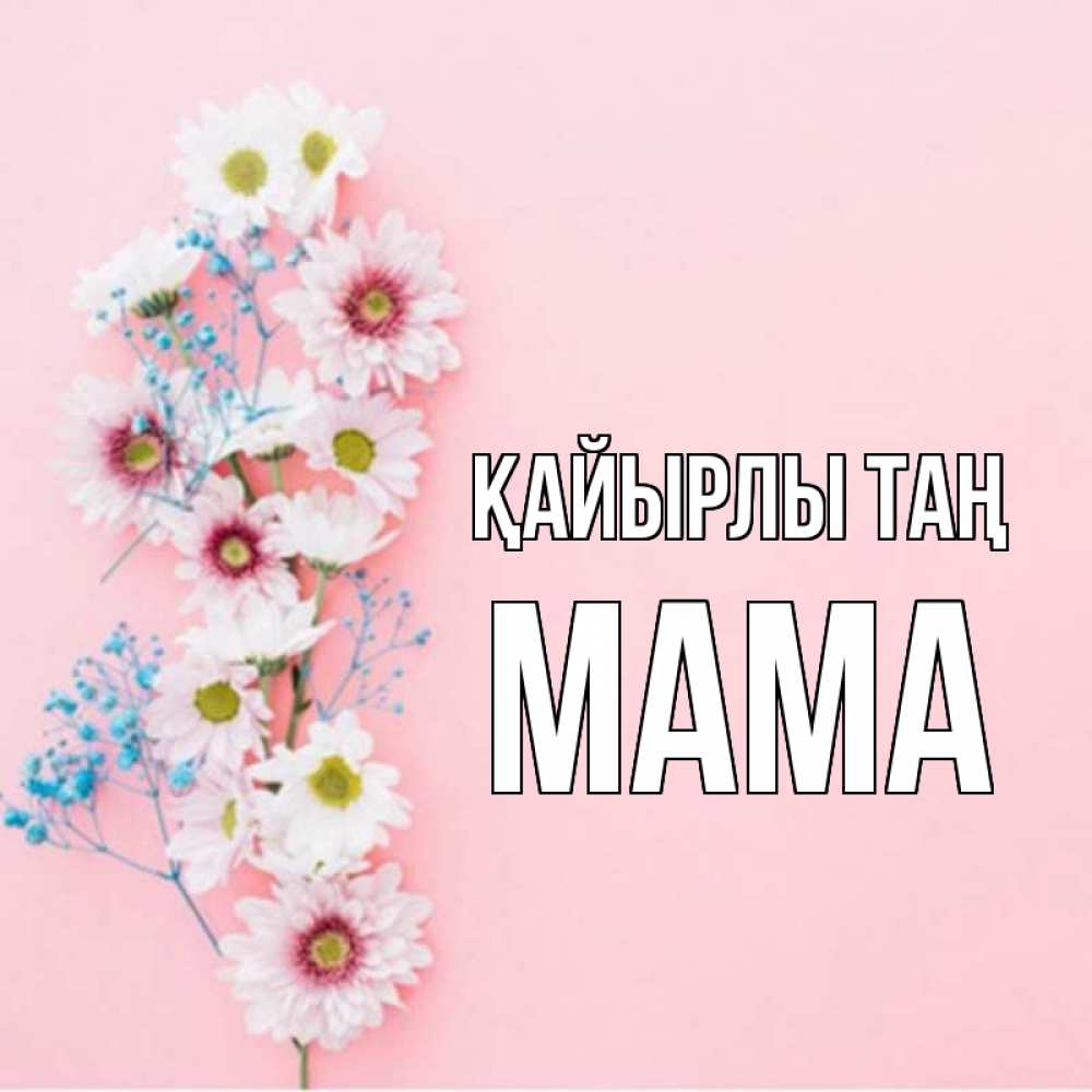 Күн сайын ашық хат с именем, Мама Қайырлы таң цветы с подписью Онлайн тегін жүктеп алу тілектері бар керемет карта 